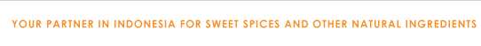 Logo Spices